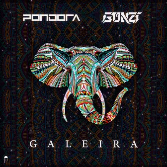 Galeira by Pondora