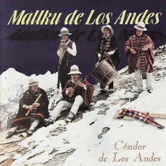 Cóndor de Los Andes by Mallku De Los Andes