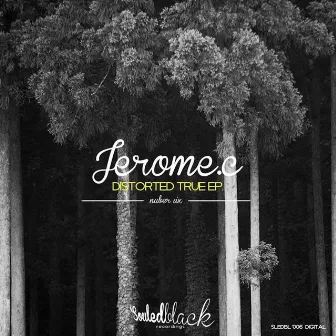 Distorted True EP by Jerome.c