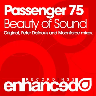 Beauty Of Sound by Passenger 75