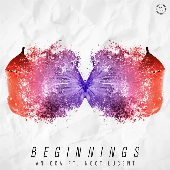 Beginnings by Anicca