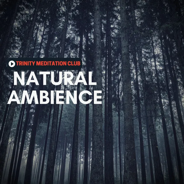 Natural Ambience