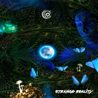 Strange Reality by Space Pirate