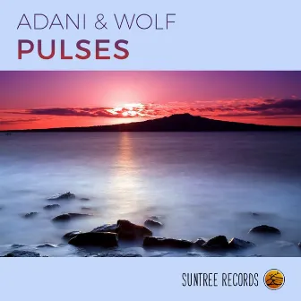 Pulses by Adani & Wolf