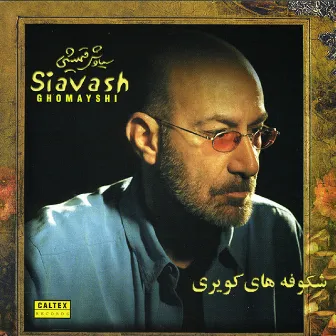 Shokoufehaye Kaviri - Persian Music by Siavash Ghomayshi