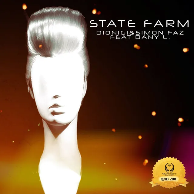 State Farm - Dionigi Elektro Mix