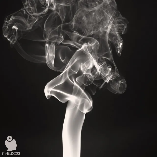 Leave In Smoke - Original Mix