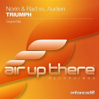 Triumph by Norin