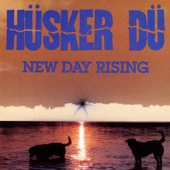 New Day Rising by Hüsker Dü