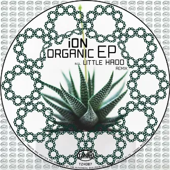 Organic EP by Ion