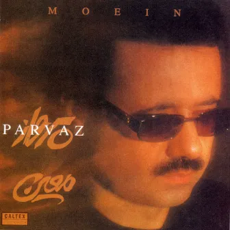 Parvaz - Persian Music by Moein