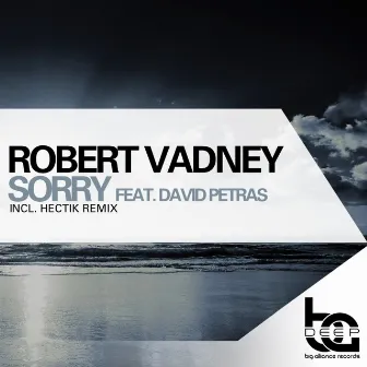 Sorry by David Petras