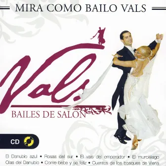 Bailes De Salón, Vals (Strauss) by Gran Orquesta Vienesa