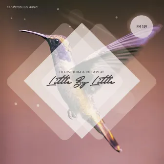 Little By Little by Paula P'Cay