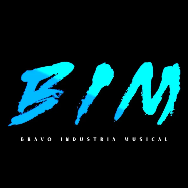 BRAVO INDUSTRIA MUSICAL