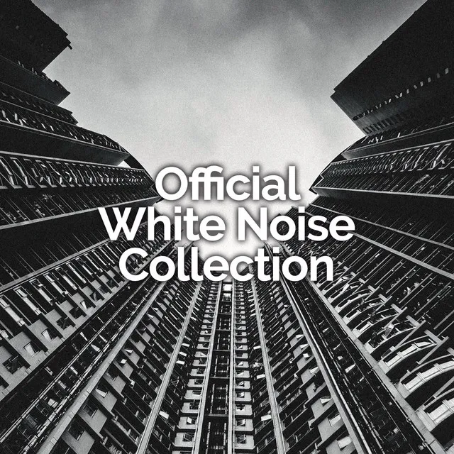 Official White Noise Collection