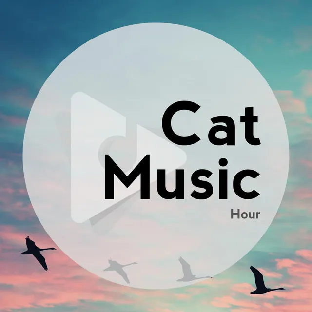 Cat Music Hour