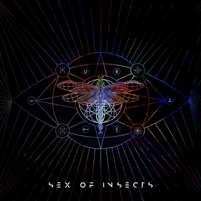 Sex Of Insects