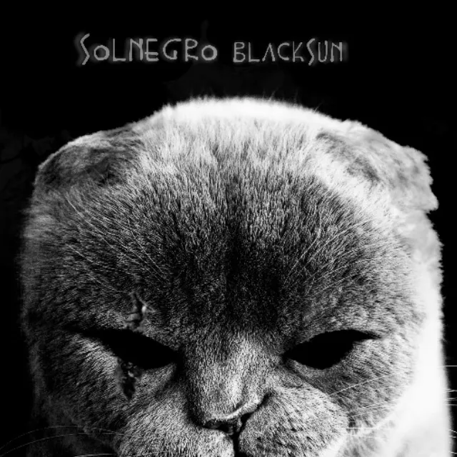 SolNegroBlackSun