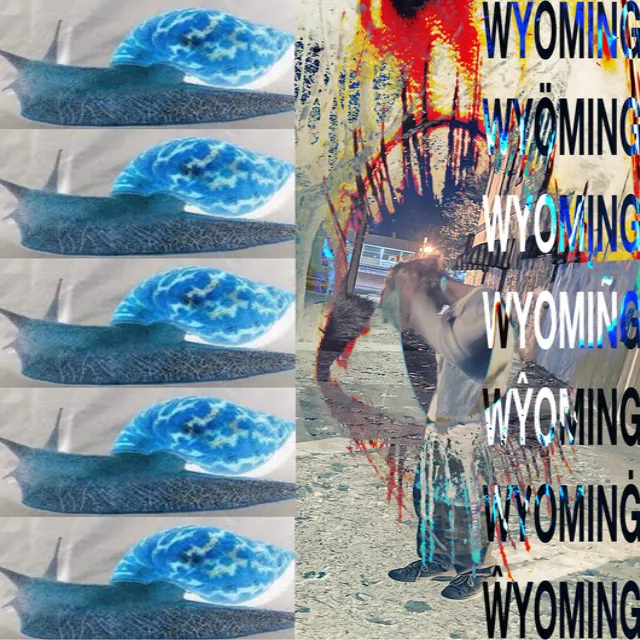 Wyoming Deez