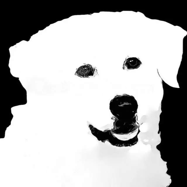 BigWhiteDogMusic