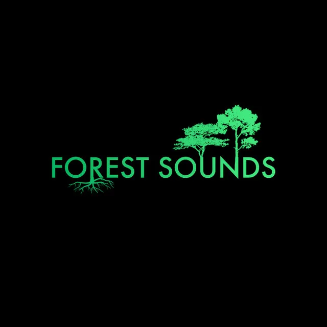 Forest Sounds