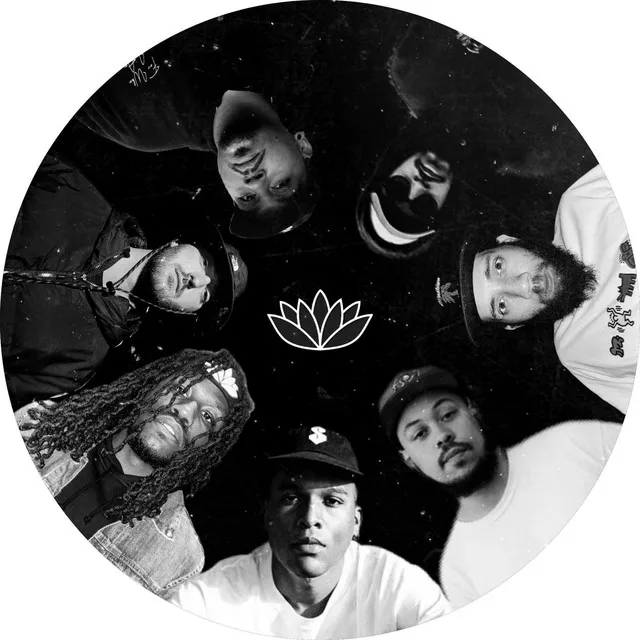 White Lotus Collective