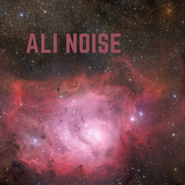 Ali Noise