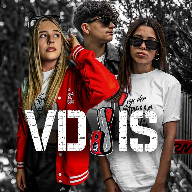 VDSIS