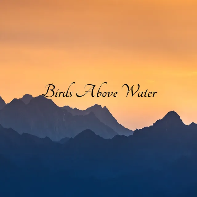 Birds Above Water