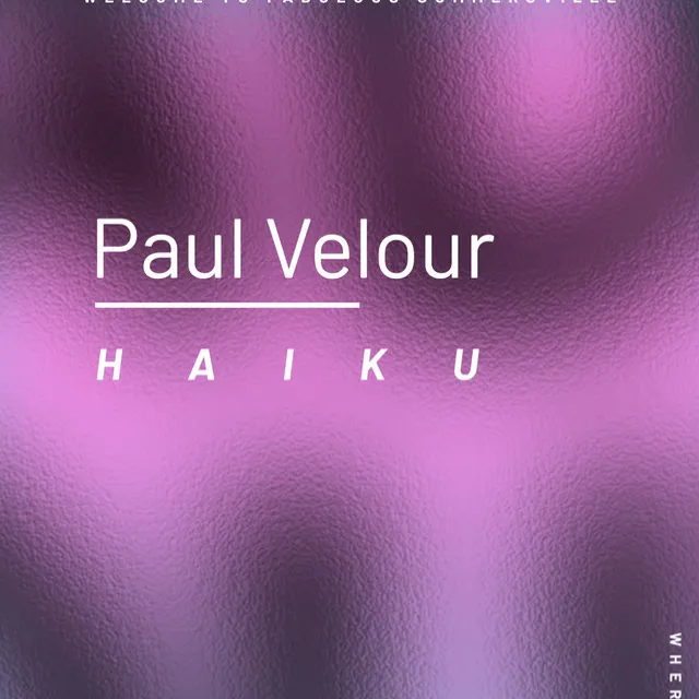 Paul Velour