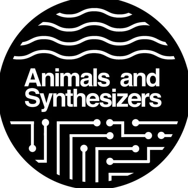 Animals And Synthesizers