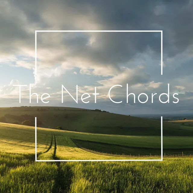 The Net Chords