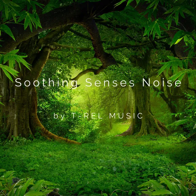 Soothing Senses Noise