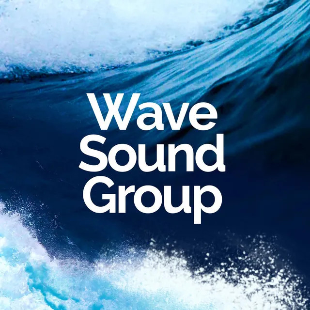 Wave Sound Group