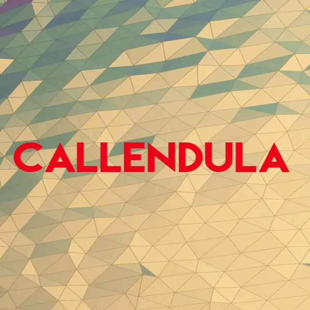 Callendula