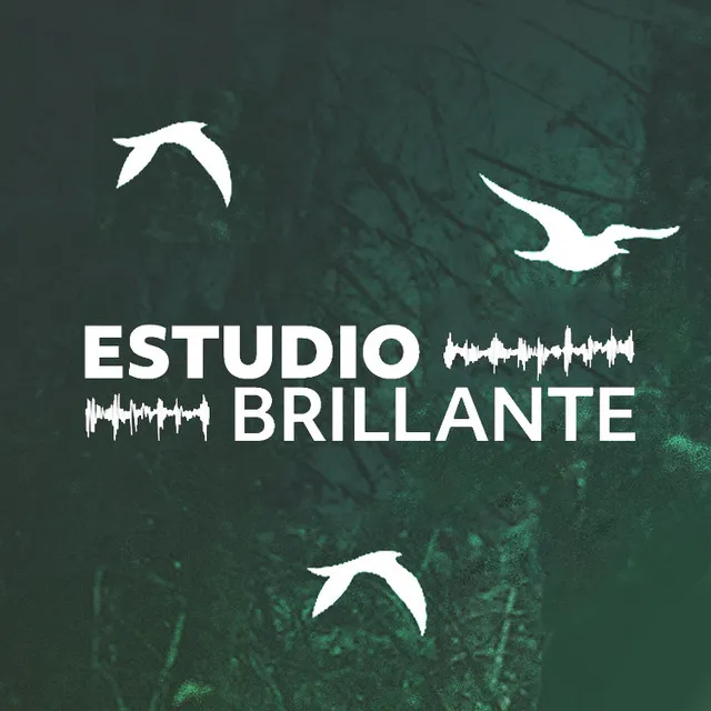 Estudio Brillante