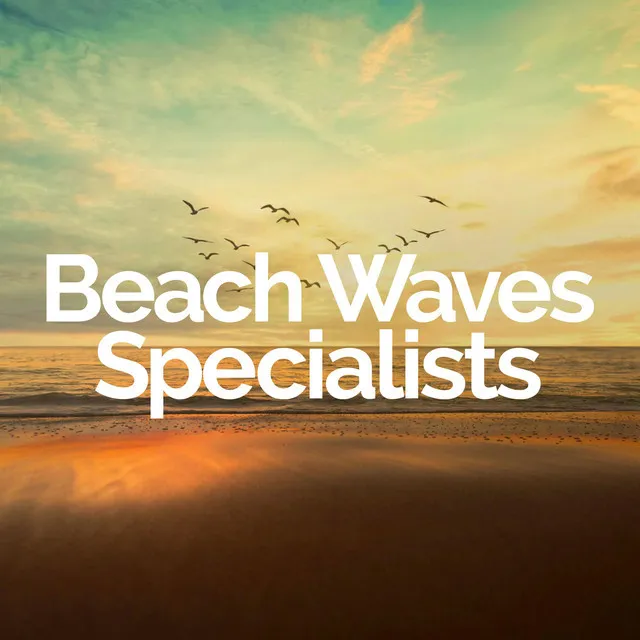 Beach Waves Specialists