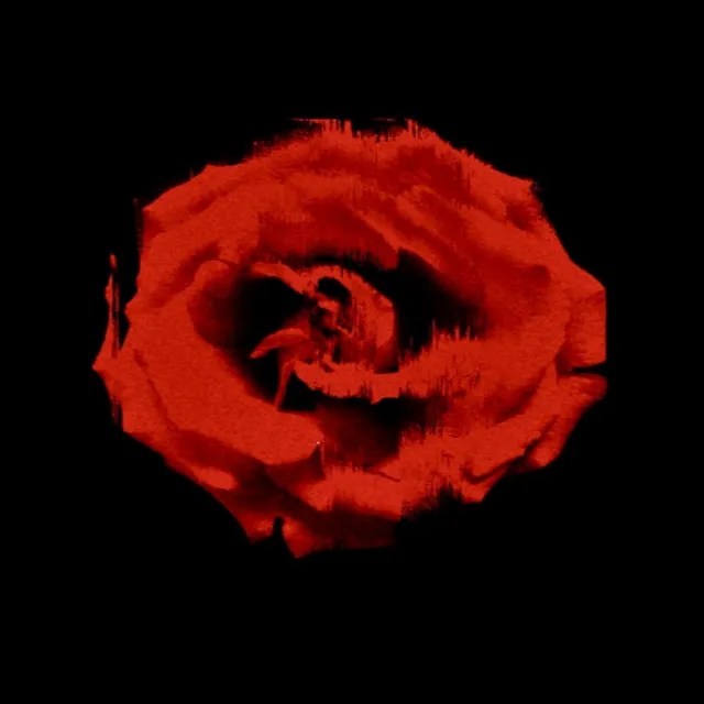 EL ROSA