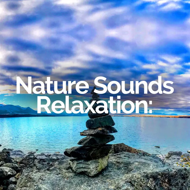 Nature Sounds Relaxation: Music for Sleep, Meditation, Massage Therapy, Spa