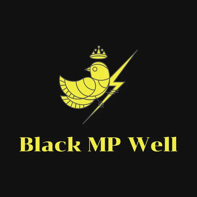 Black MP Well