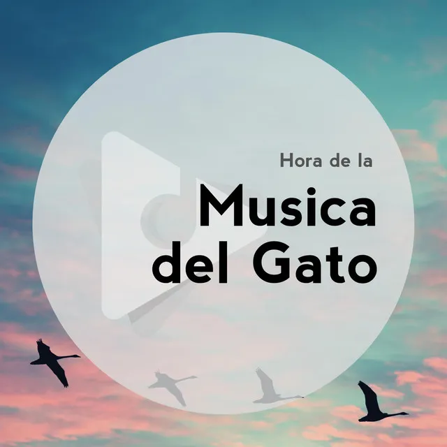 Hora de la Música del Gato