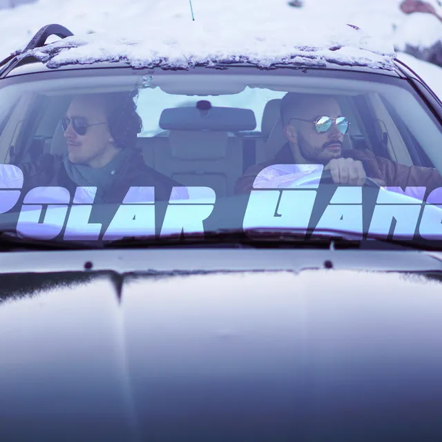 Polar Gang