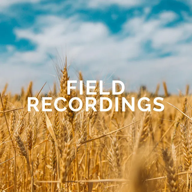 Field Recordings