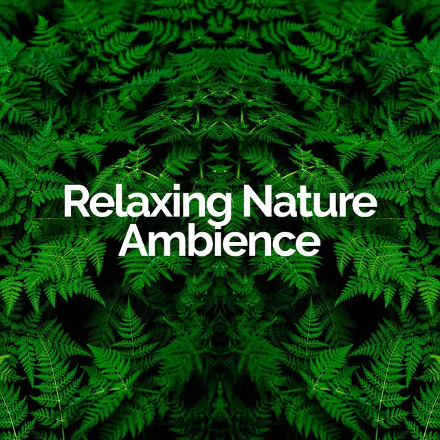 Relaxing Nature Ambience