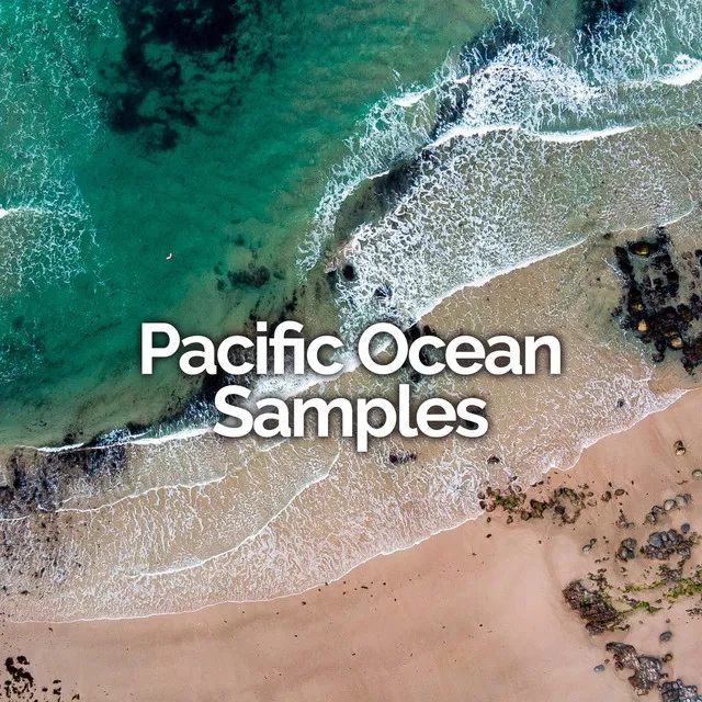 Pacific Ocean Samples