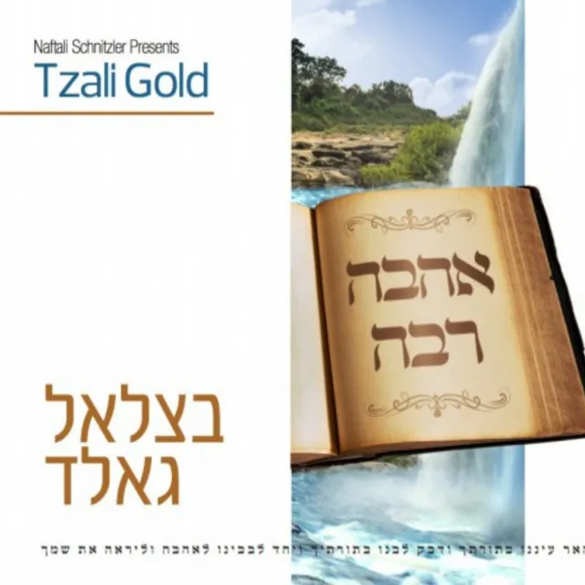 Tzali Gold