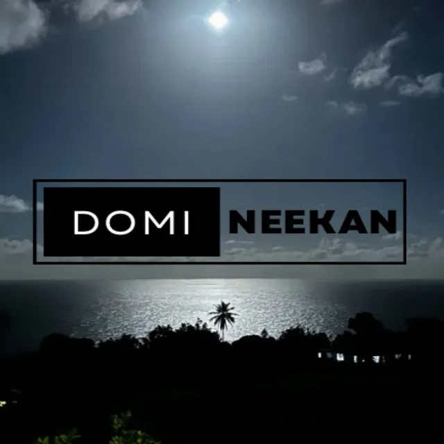 DomiNeekan