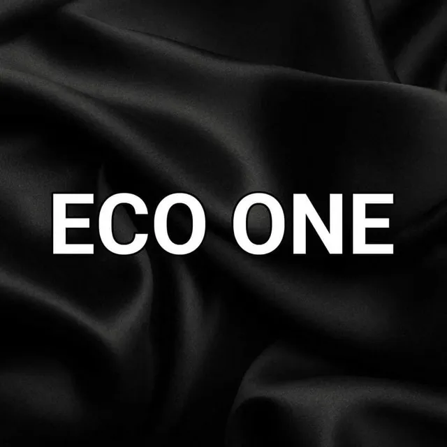 Eco One