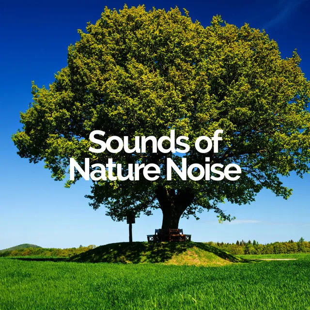 Sounds of Nature Noise